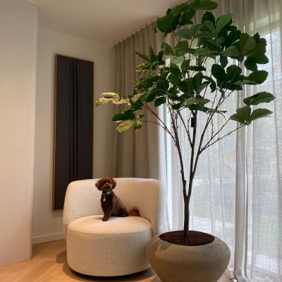 Silk & Groen Collectie