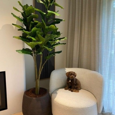 Silk & Groen Collectie