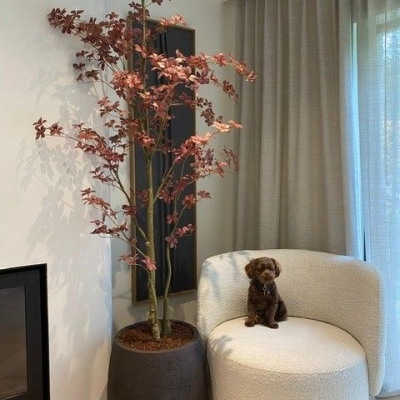 Silk & Groen Collectie