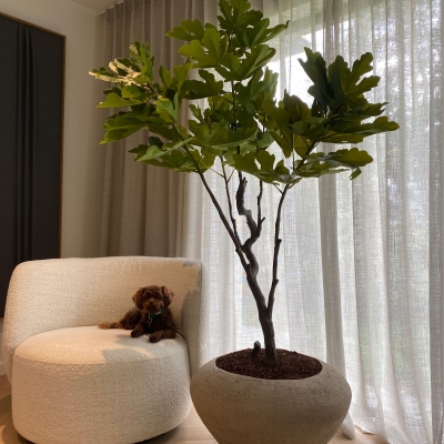 Silk & Groen Collectie