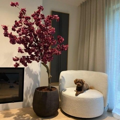 Silk & Groen Collectie
