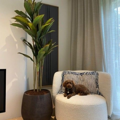 Silk & Groen Collectie