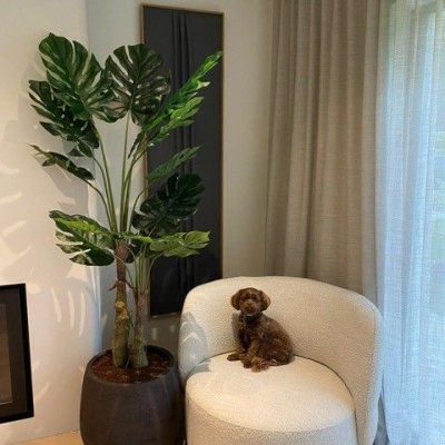 Silk & Groen Collectie
