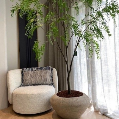 Silk & Groen Collectie