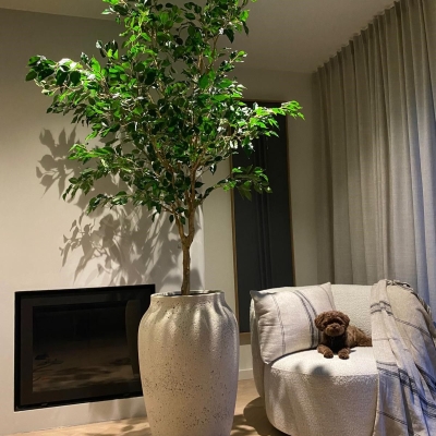 Silk & Groen Collectie