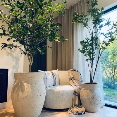 Medi Terra Collectie