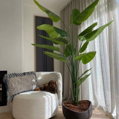 Boho Collectie Cocoon 
