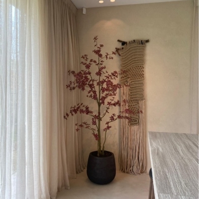 Meerstammige Plant Burgundy