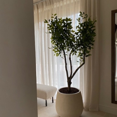 Handgemaakte Ficus 