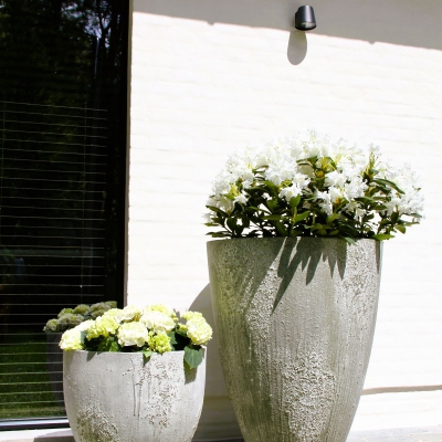 Oyster Collectie